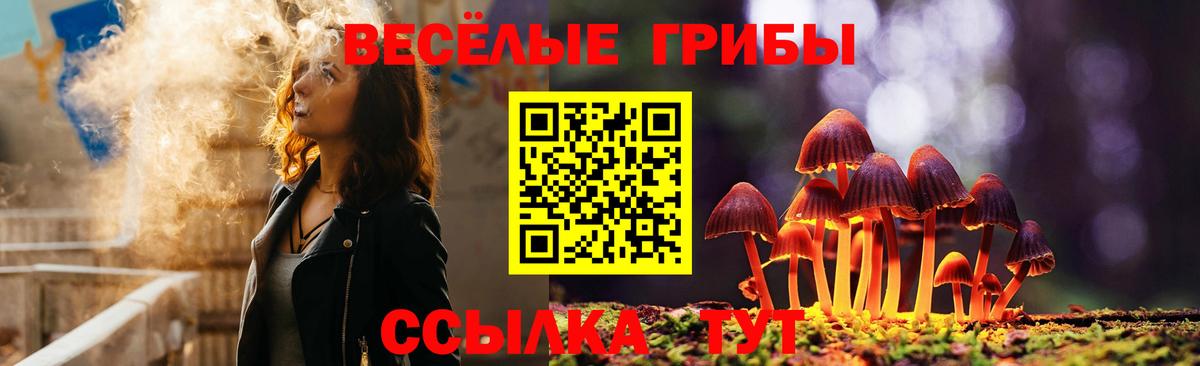 Галлюциногенные грибы Psilocybe  Вход с VPN  Псилоцибиновые грибы мицелий  Жуковский 